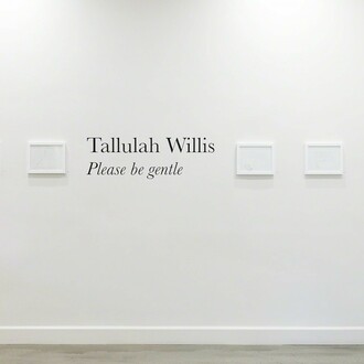 Tallulah Willis. Please be gentle, exhibition view. Courtesy of Eric Buterbaugh Gallery