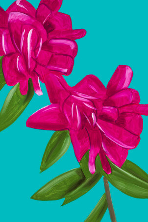 Alex Katz, Peonies, 47x34 inches (119 x 86 cm)