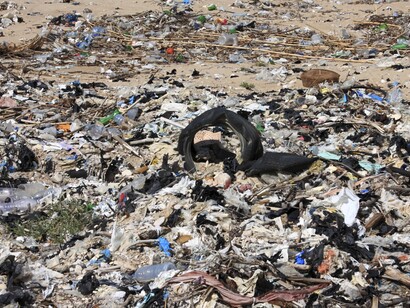 Efectos de la «civilización»