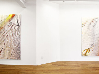 Ants on Shrimps. Courtesy of Galerie Richard