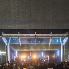 I Want to like you but I find it difficult. Courtesy of Fondazione Prada 