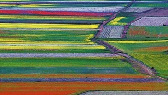 Campi fioriti dell'Umbria