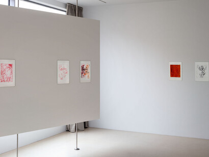 Anna Niesterowicz, 20 MG ok, exhibition view. Courtesy of Foksal Gallery