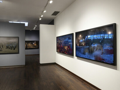 Nick Brandt. This Empty World. Courtesy of Fahey/Klein Gallery