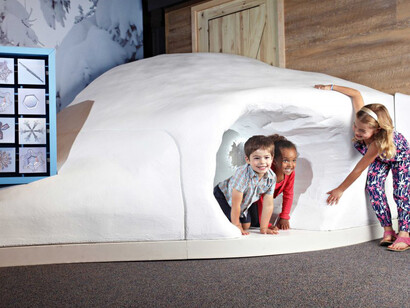 Wild Weather, Exhibition view. Courtesy of Witte Museum