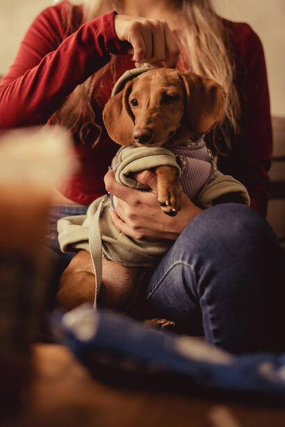 La adaptación de un perro rescatado exige paciencia, respeto por sus tiempos y una entrega emocional que muchas veces duele, pero que también cura