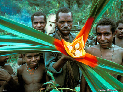 ©Survival, Yali, West Papua