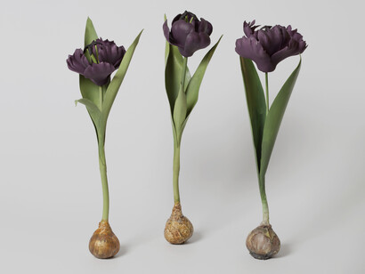 Centre de table Magnolia © Frédéric Godé