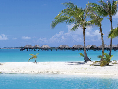 Secluded resort on the outskirts of Jamaica