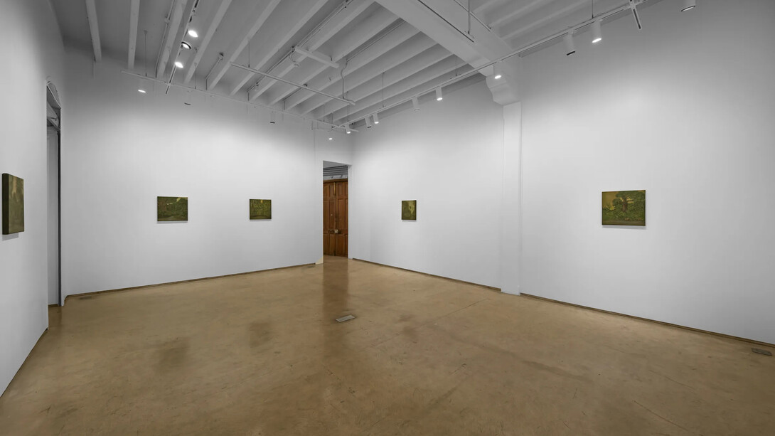 Sahil Naik, Sour stars and breadfruit monsoons, exhibition view. Courtesy of Experimenter