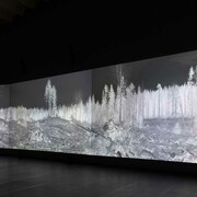 Eija-Liisa Ahtila, Reflexion eines waldes, ausstellungsansicht. Mit freundlicher genehmigung des Serlachius-Museums