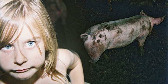 Iris Andraschek. Courtesy of Kunst Haus Wien