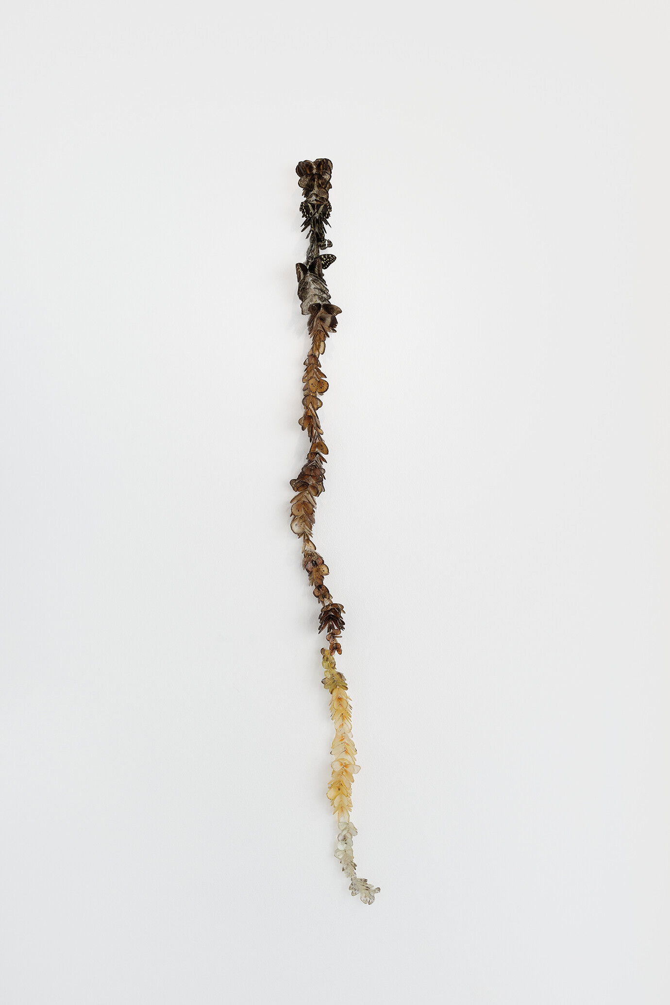 Strangling fruit | Meer