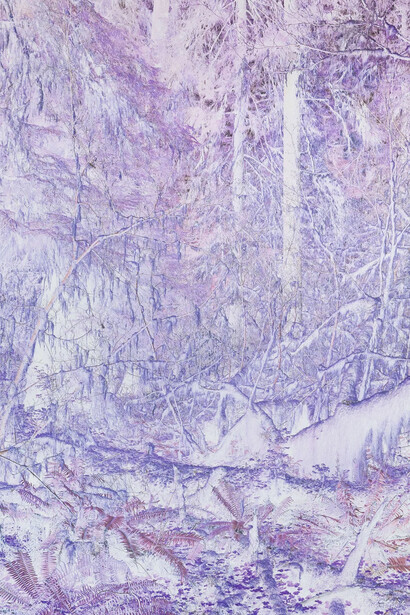 Justin Brice Guariglia, Hoh rain forest, Olympic National Park, Washington (detail), 2026. Courtesy of Flowers Gallery