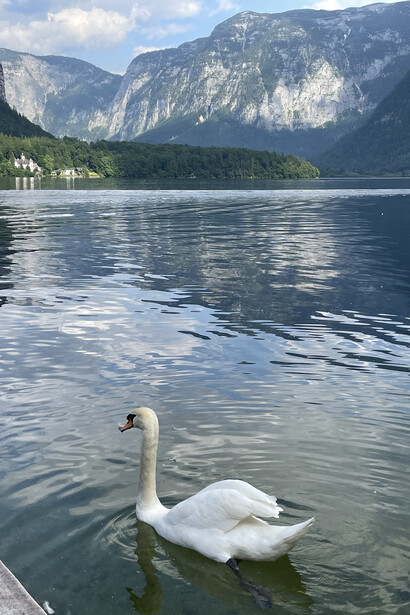 Nestled on the shores of Lake Hallstatt, Austria, this charming village offers stunning views of the Austrian Alps