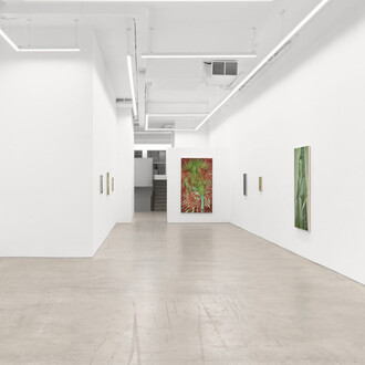 Jenny Morgan, No endings for the wild, exhibition view. Courtesy of Anat Ebgi