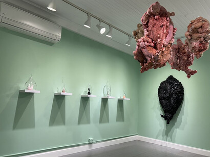 Lauren Ruiz, Fresh relics, exhibition view. Courtesy of Marquee Projects 