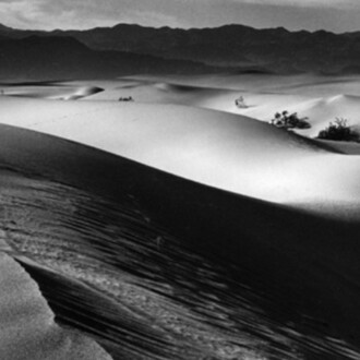 Abstractions, A-Z. Courtesy of Scott Nichols Gallery