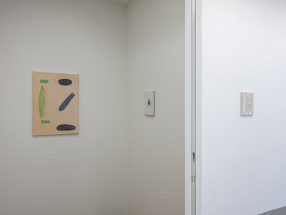 Raoul De Keyser, Return, exhibition view. Courtesy of Wako Works of Art