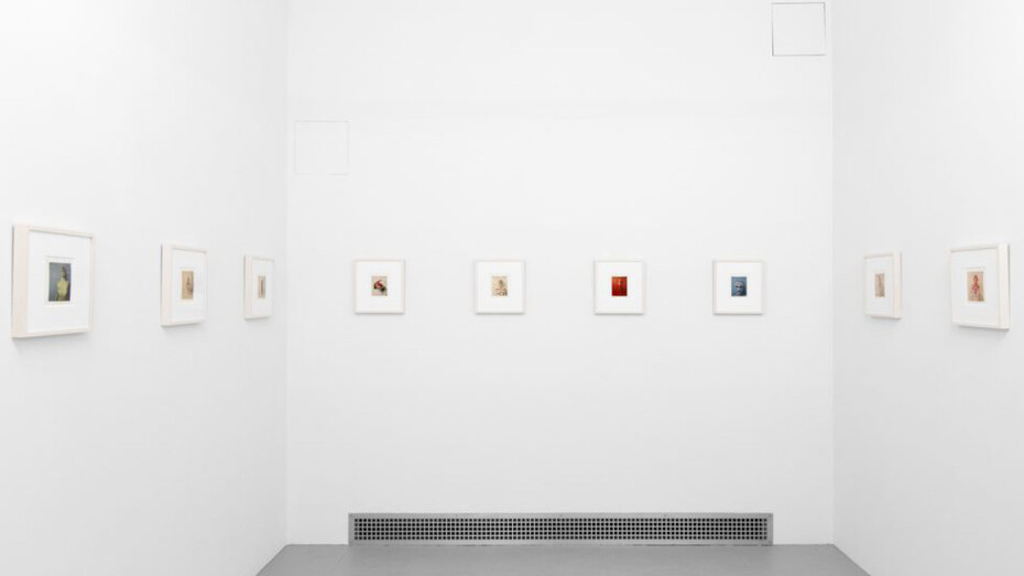 Dietmar Busse, My life as a flower, exhibition view. Courtesy of Clamp 
