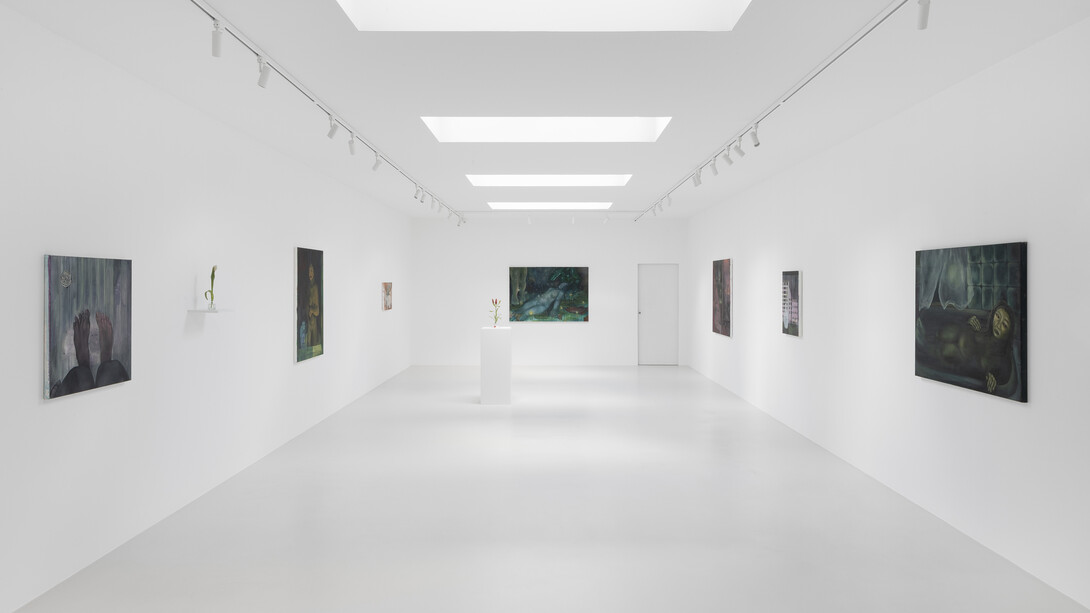 Claudia Koh, Soft spot, exhibition view. Courtesy of Super Dakota