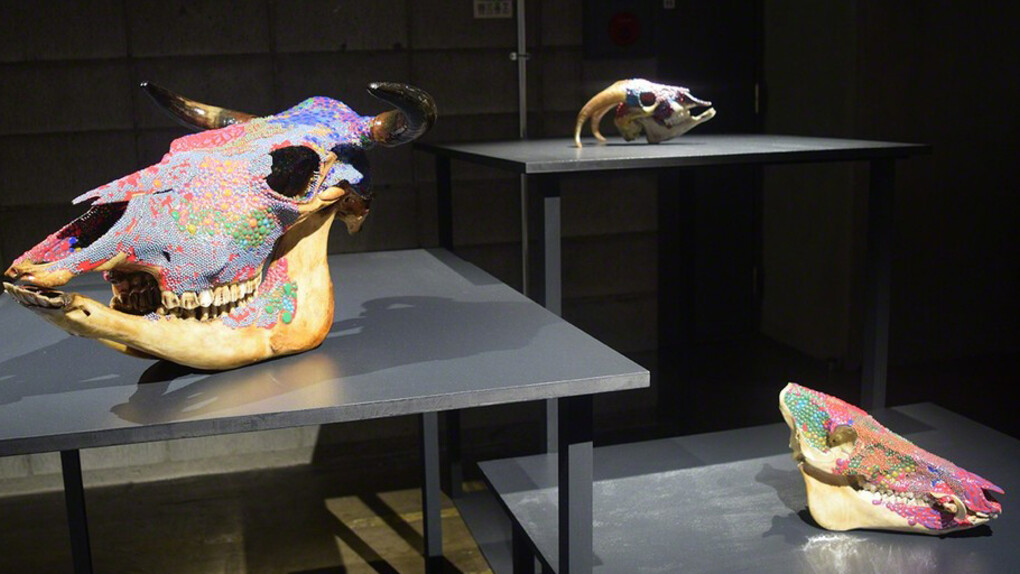 Derivation from the Trunk, Exhibition view. Courtesy of Sezon Art Gallery