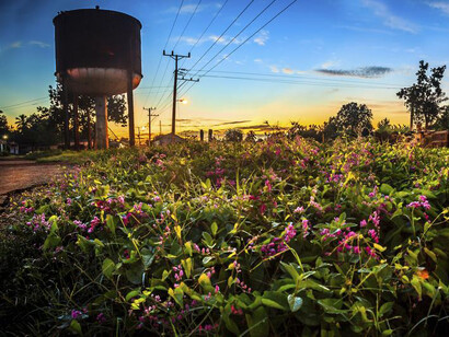 En recuerdo de *Cien años de soledad*, Macondo