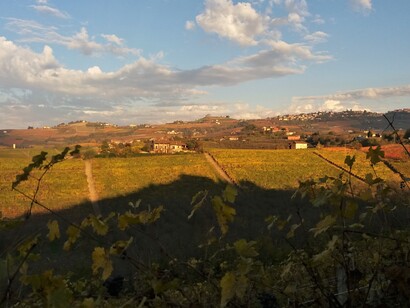 Autunno a Grinzane Cavour, Langhe, Piemonte, Italia. Foto di Tomatis Davide