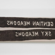 Hendl Helen Mirra, not gentian meadows, 2021. Courtesy of Galerie Nordenhake