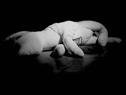 José Rosales: Aquelarre, Sala 1.1 MADC