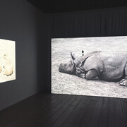 Marjan Laaper, Loss, hope and wonder, exhibition view. Courtesy of NL=US Art