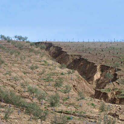 Proceso de desertificación en el sureste español