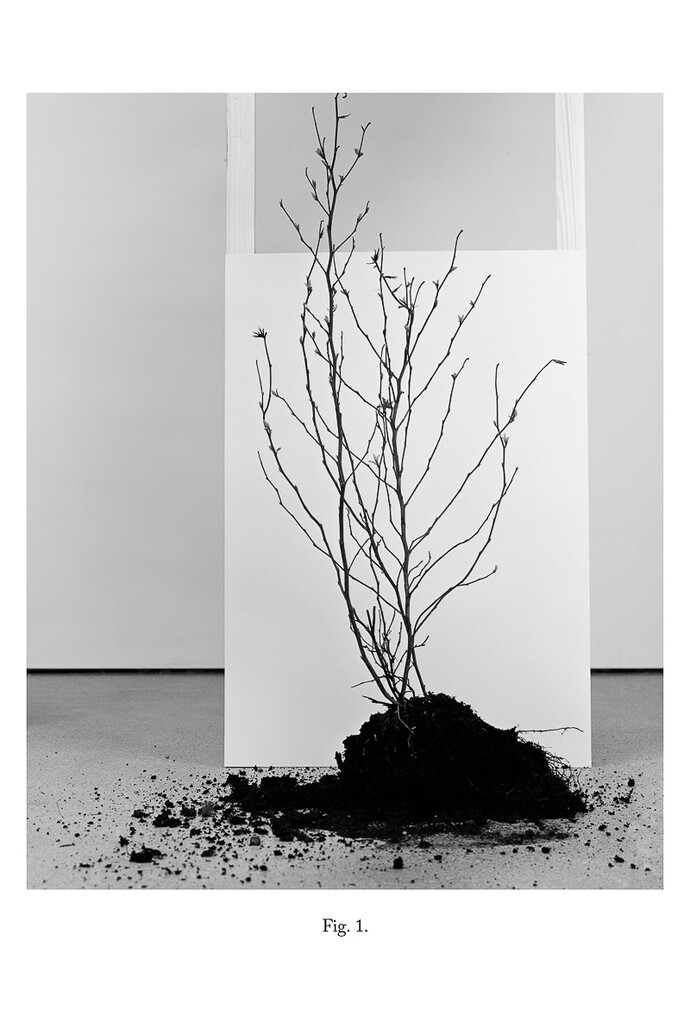 Victoria Jenkins, Fig. 1