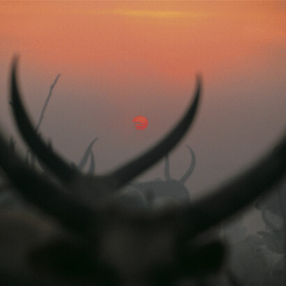 Sudán del Sur. Atardecer en la sabana