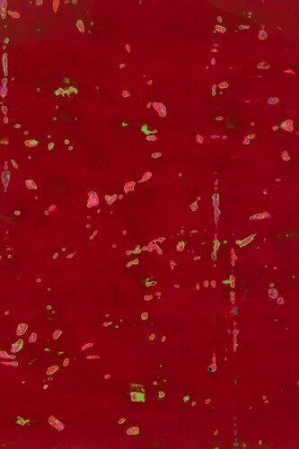Barcilon, 2015, pure pigments and varnish on wood, 153x200cm. Detail