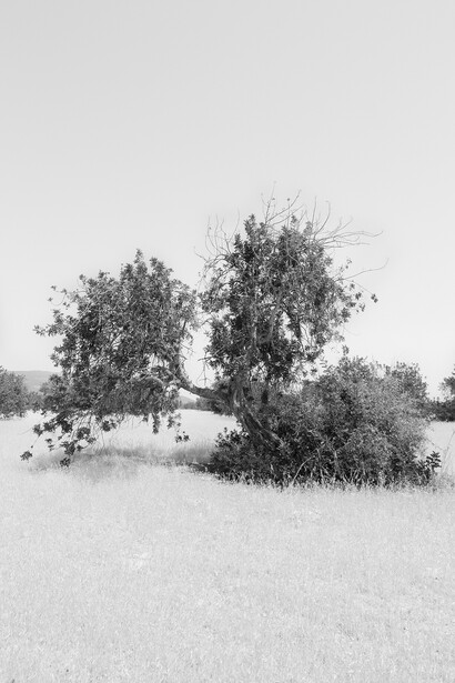 Niklas Goldbach, Everything in its right place (16), 2013, 8 de 78 Photos sur papier Photo-Archive, 77,5 x 55 cm, Edition : 3, Courtesy Artist & Bendana | Pinel Art Contemporain
