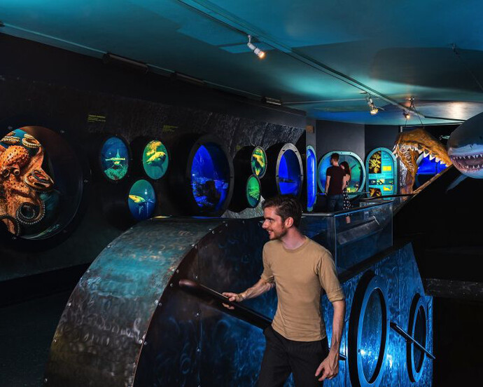 The world of Oceans. Courtesy of Haus der Natur 