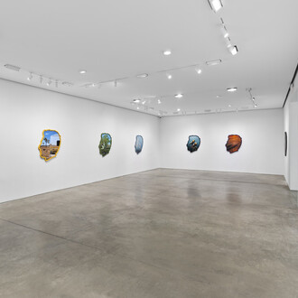 Alex Israel, Where is my mind? Exhibition view. Courtesy of Pace Prints Gallery