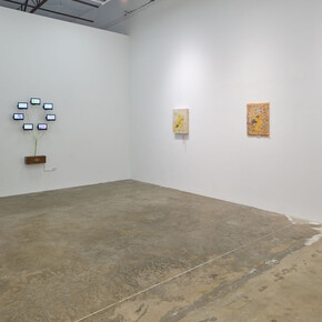 Leili Arai Tavallaei, Shotor 〇 morghe, exhibition view. Courtesy of Erin Cluley Gallery