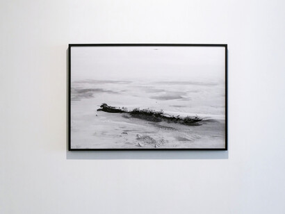 Luís Campos, Endscape, exhibition view. Courtesy of Carlos Carvalho