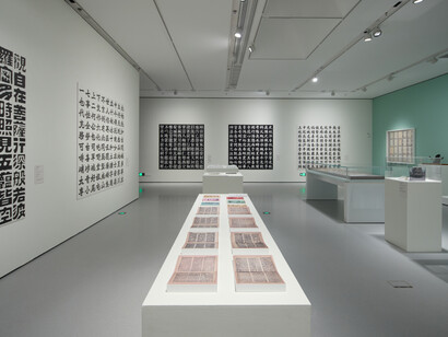 By the people 2: creative chinese characters, exhibition view. Courtesy of the Guangdong Museum of Art