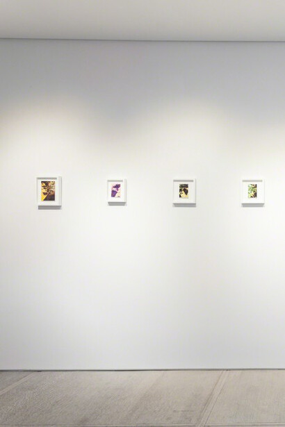 Pareidolia. Courtesy of Totah 