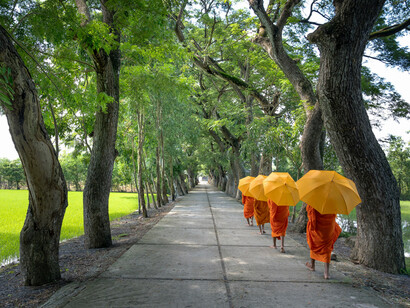 The tree-lined path is where the Buddhist monks walk peacefully in silence