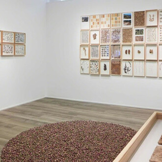 Herman De Vries, Exhibition view. Courtesy of Cortesi Gallery
