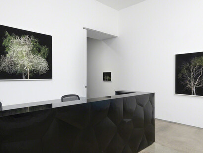 Amir Zaki. Courtesy of Edward Cella Art & Architecture