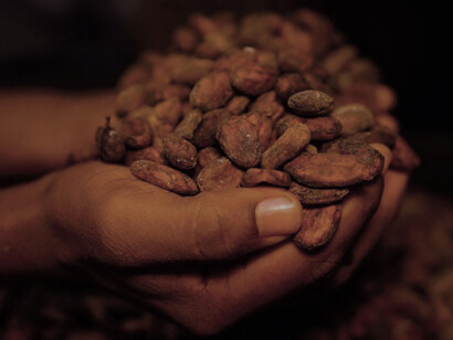 A person in India holds a handful of cocoa beans, drying them before the crushing process begins