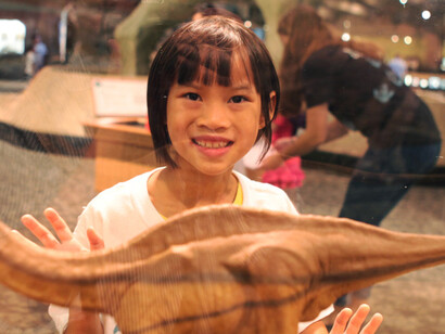 Dinosaurs: Modeling the Mesozoic. Courtesy of Museum of Science 