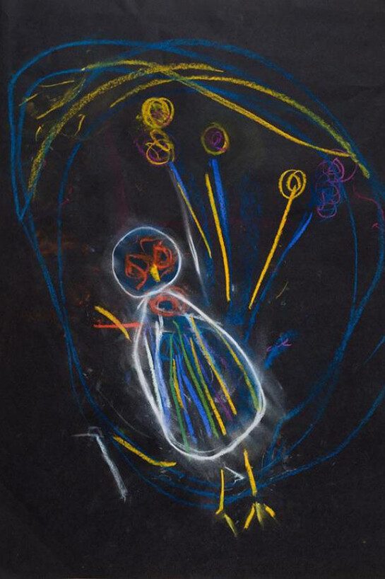 Feathery Friends (Nursery) by Jaanhavi Radha Krishna Gowda. 3rd Place