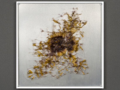 Ryoichi Kurokawa
elementum #8
2018
Tecnica mista (stampa digitale, fiori pressati, alluminio, vetro), 12 x 260 x 260 mm 
© L’artista. Courtesy Takuro Someya Contemporary Art
