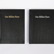 One Million Years. Courtesy of MFC - Michèle Didier
